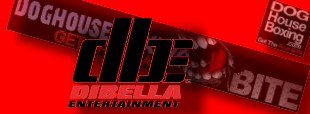 DiBella Entertainment (DBE)