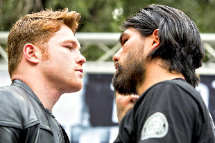 L-R: Canelo / El Perro