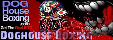 WBC  World Boxing Council