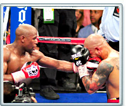 Mayweather lands on Cotto