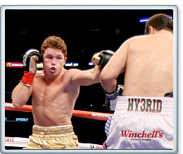 Saul “Canelo” Alvarez retained his portion of the super middleweight crown by stopping Alfonzo Gomez